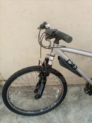 Adult Bicycles