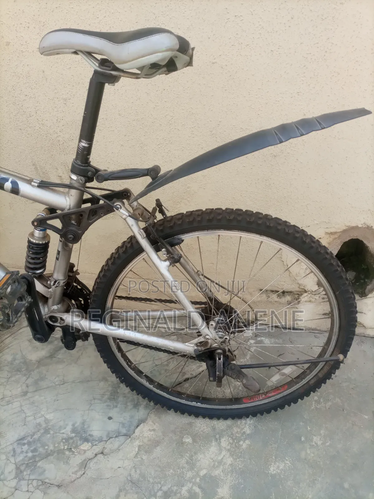Adult Bicycles