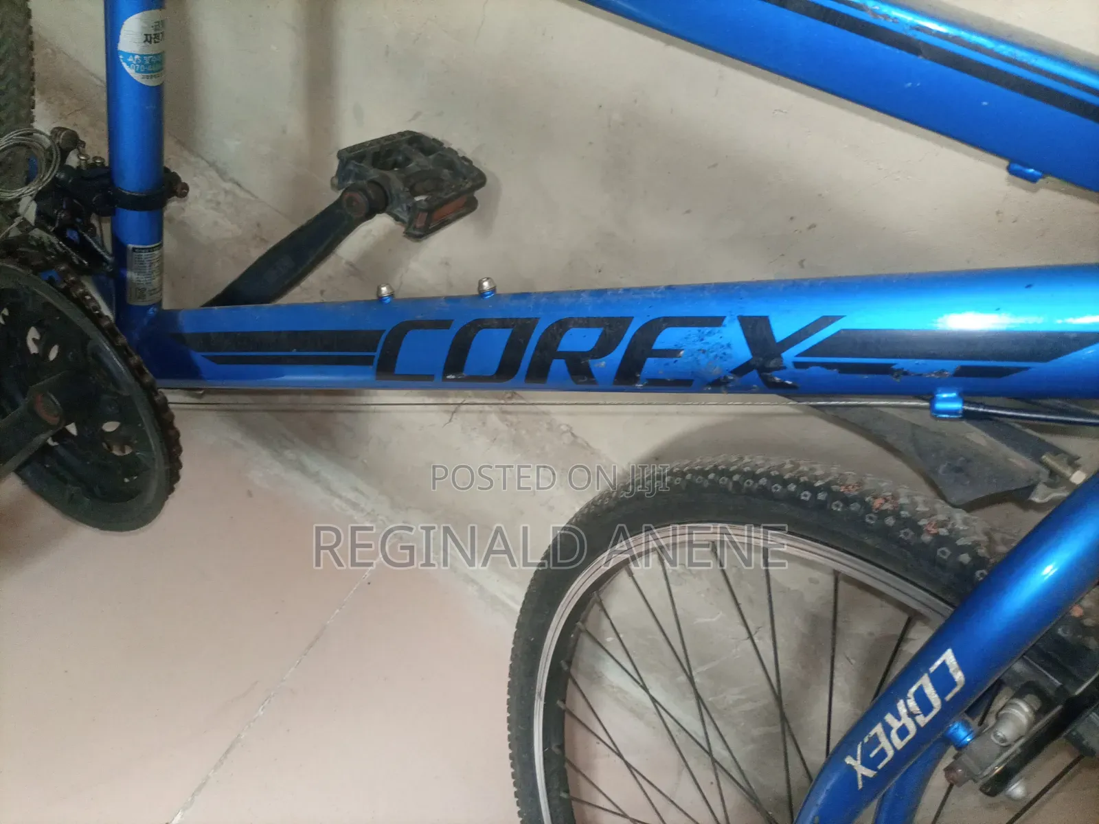 Adult Bicycles