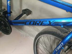 Adult Bicycles