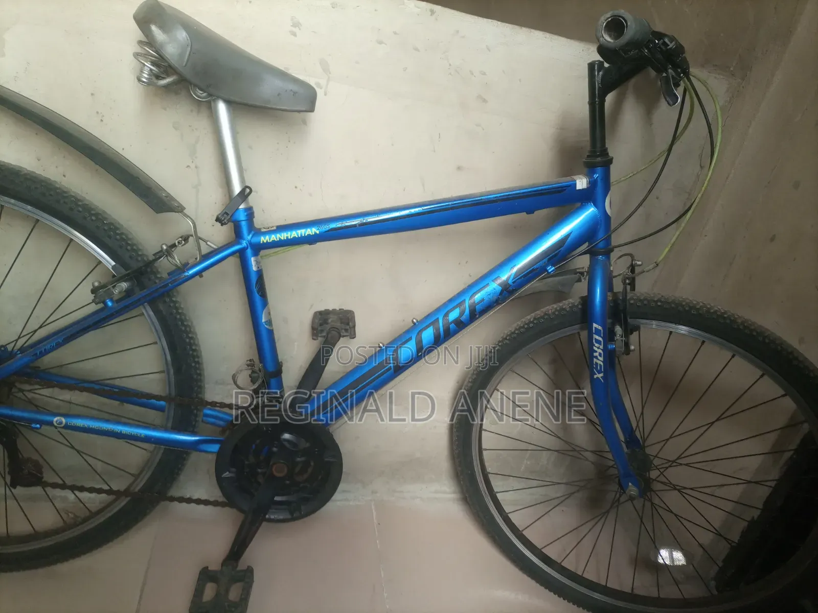 Adult Bicycles
