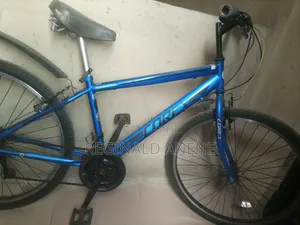 Adult Bicycles