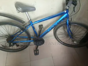 Adult Bicycles