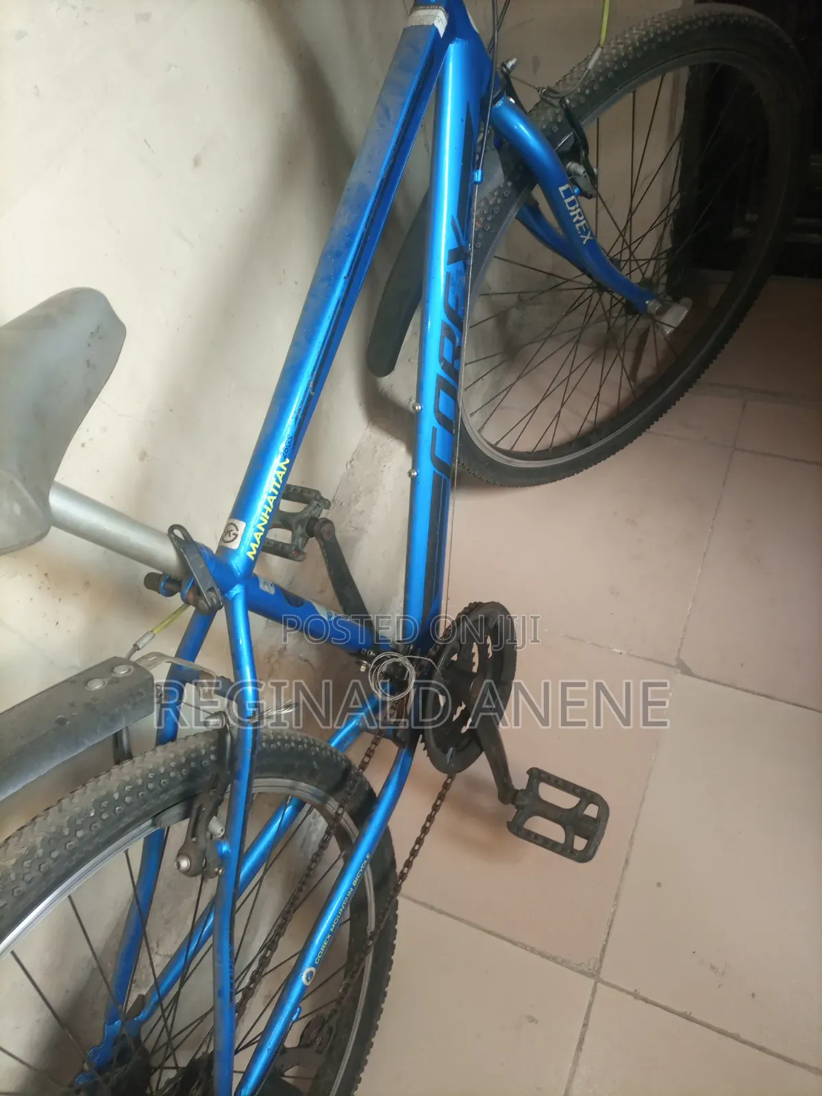 Adult Bicycles