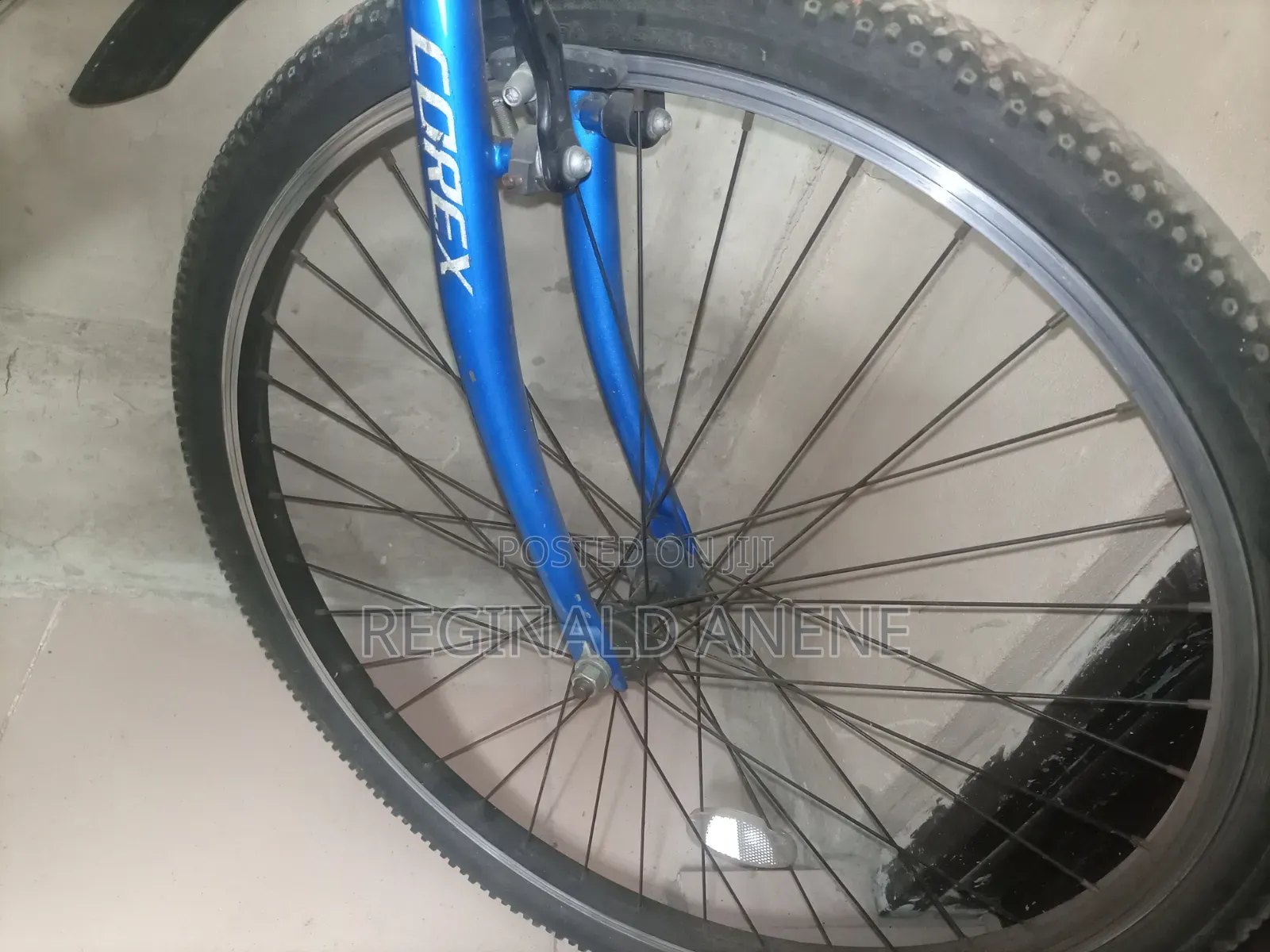 Adult Bicycles