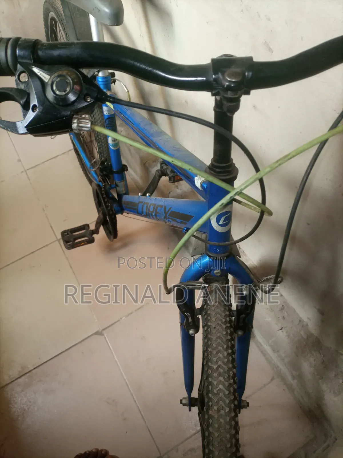 Adult Bicycles