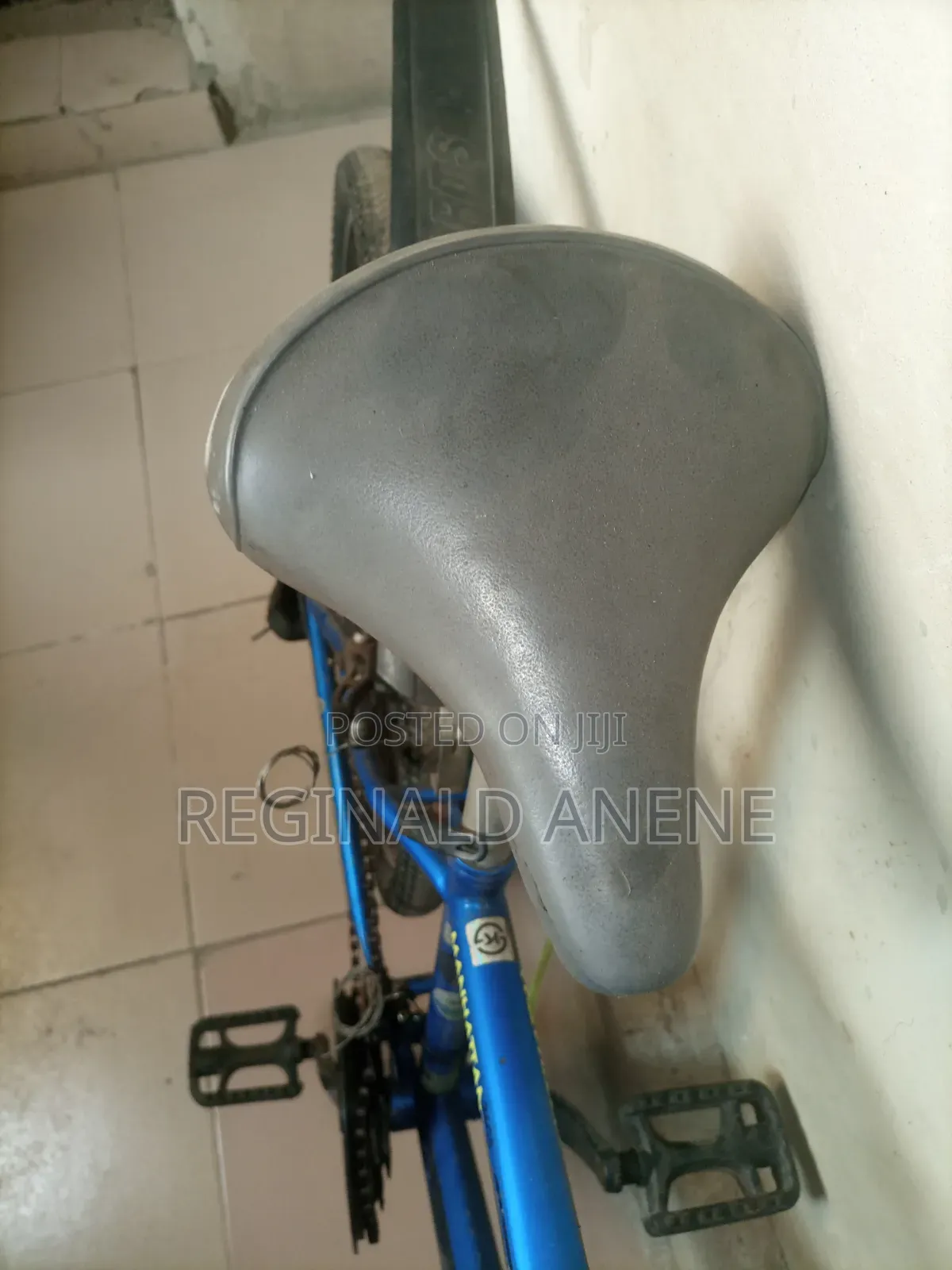 Adult Bicycles