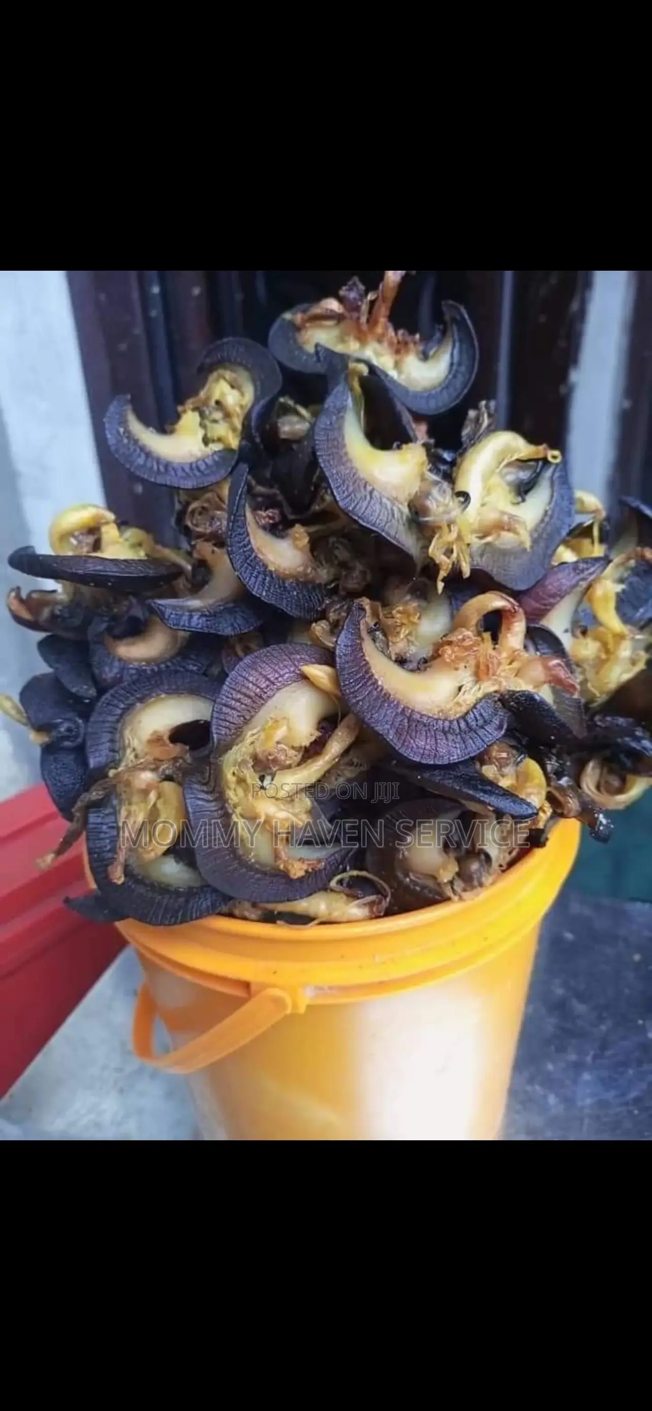 Dehydrated Snail