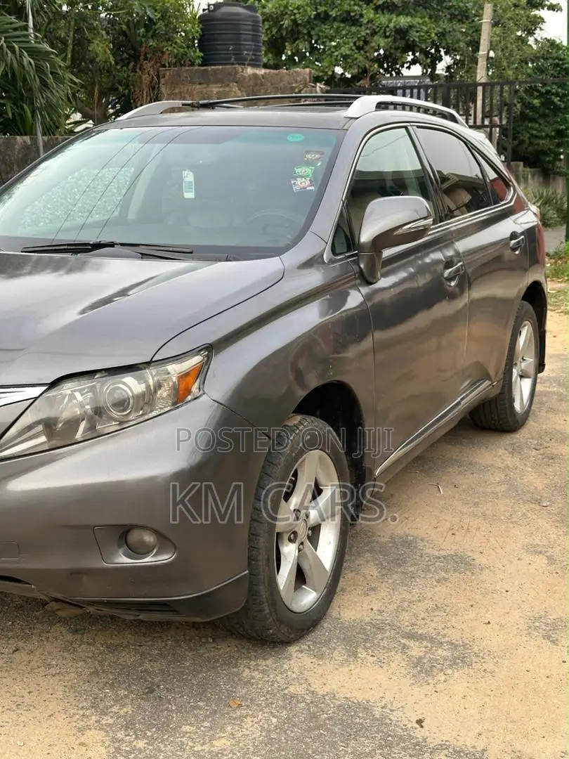 Lexus RX 2010 Gray