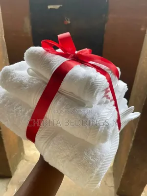 Thick Absorbent Towel (3 in 1)