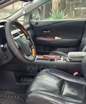 Lexus RX 2010 Gray