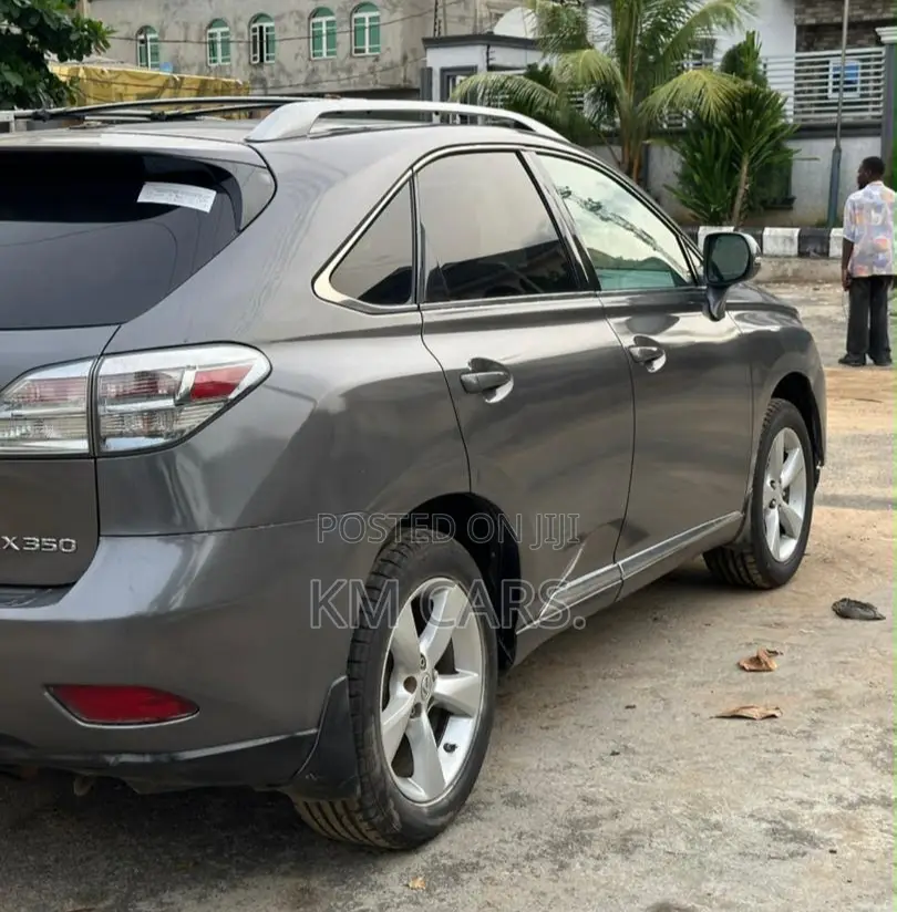 Lexus RX 2010 Gray