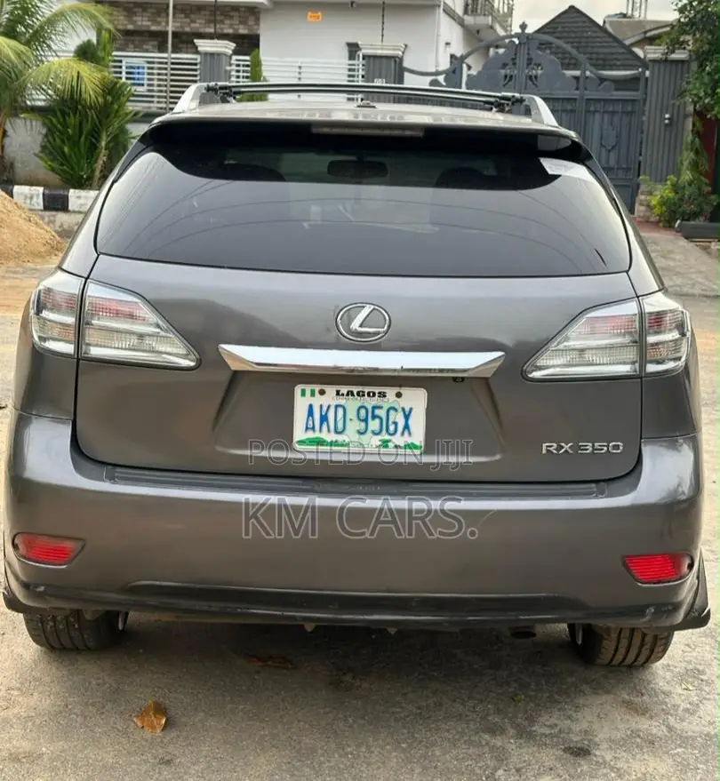 Lexus RX 2010 Gray