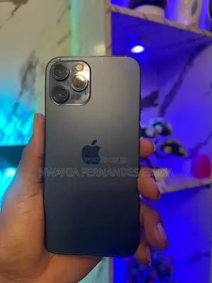 Apple iPhone 12 Pro Max 128 GB Gray