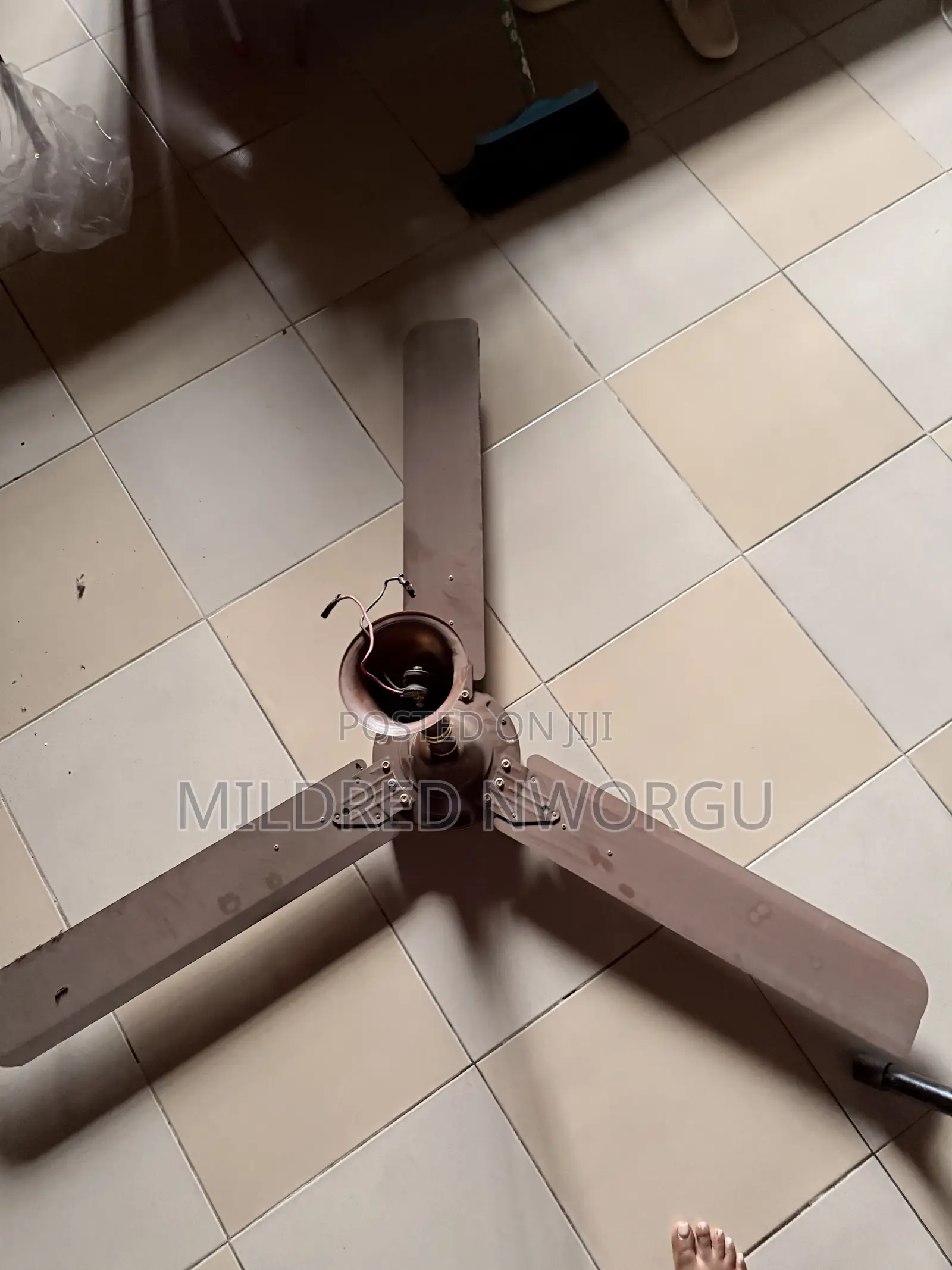 Ceiling Fan for Sale