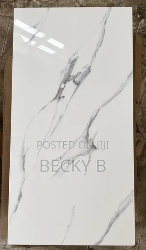 Royal Castle Glossy Porcelain Marble Tile – Brand New #3700 Each .