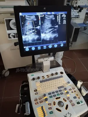 Ge Vivid S6 Ultrasound Machine (Echo)
