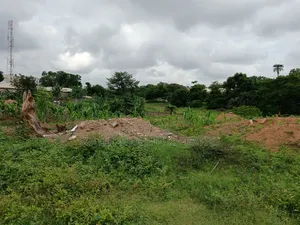 One of the Few Virgin Residential Plots Left in Wuye Main