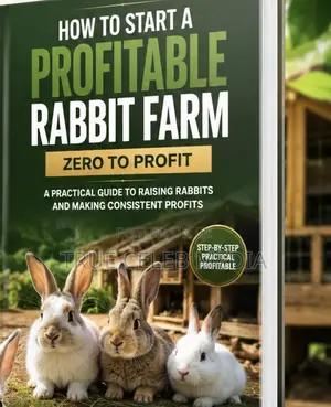 How To Start A Profitable Rabbit Farm