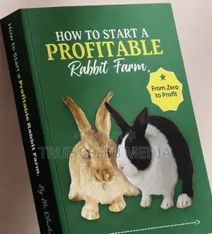 How To Start A Profitable Rabbit Farm