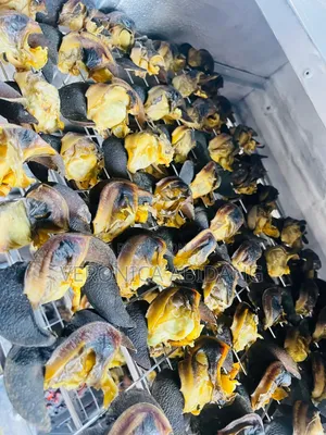 Dried Snail