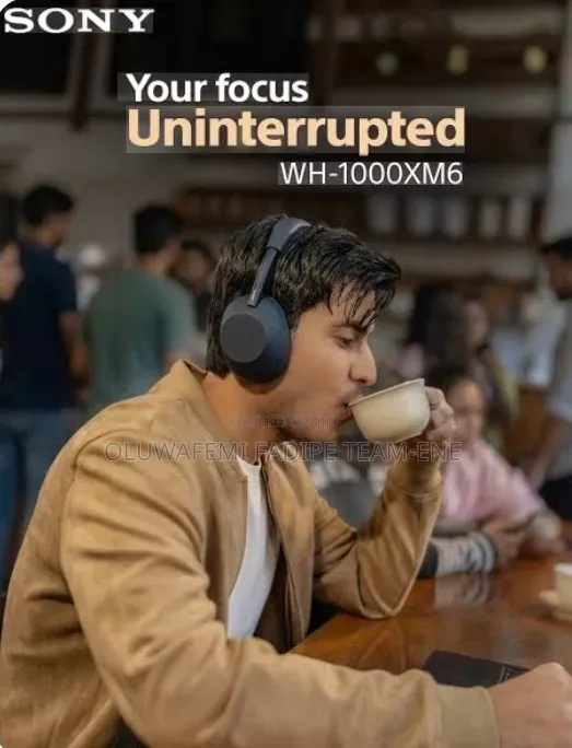 Sony Headset