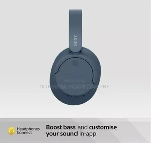 Sony Headset