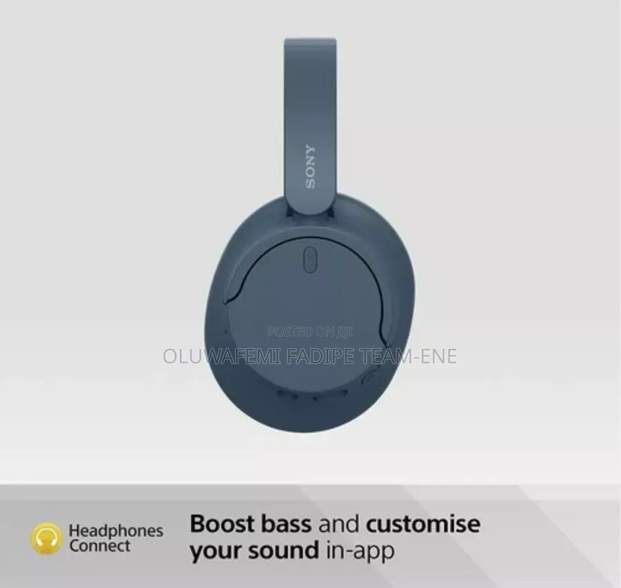 Sony Headset