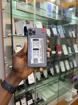 Apple iPhone 11 Pro Max 64 GB Gray