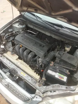 Toyota Corolla 2005 Gray