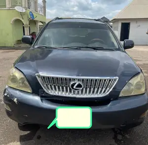 Lexus RX 330 2004 Gray