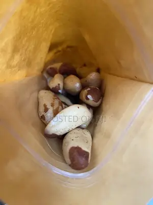 Brazil Nuts - 100g