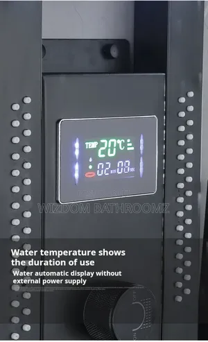 Executive Temperature Shower