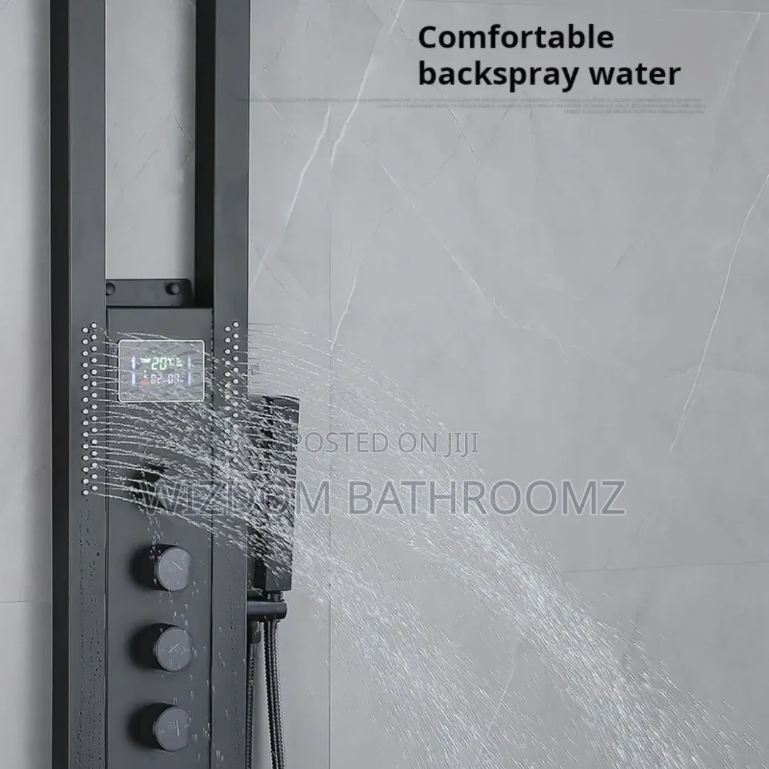 Executive Temperature Shower