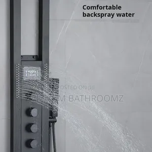 Executive Temperature Shower
