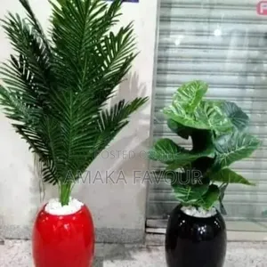 Flowers Decor