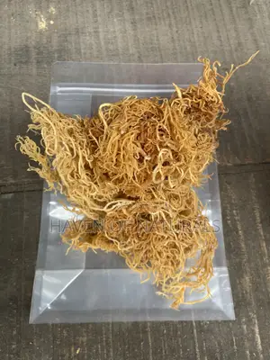Wild Crafted Sea Moss - 100g