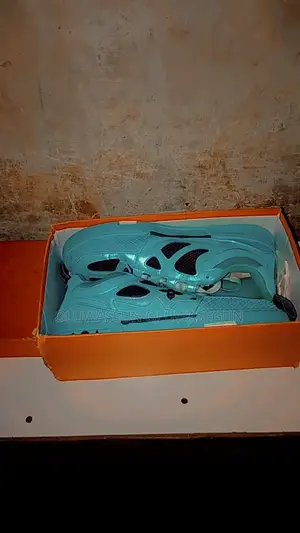 Snikers Shoes Nike