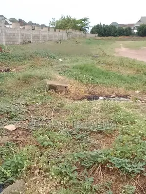 Treasure City Asokoro Extension Land