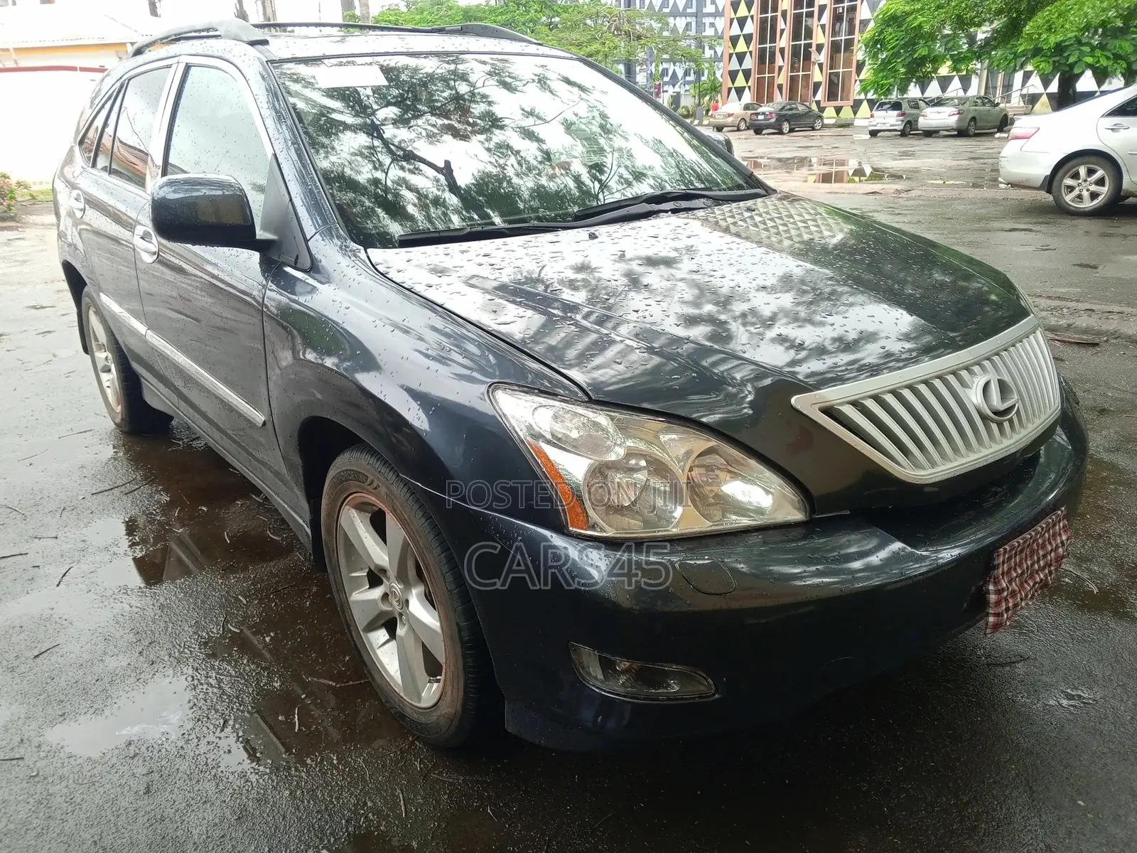 Lexus RX 2006 Gray