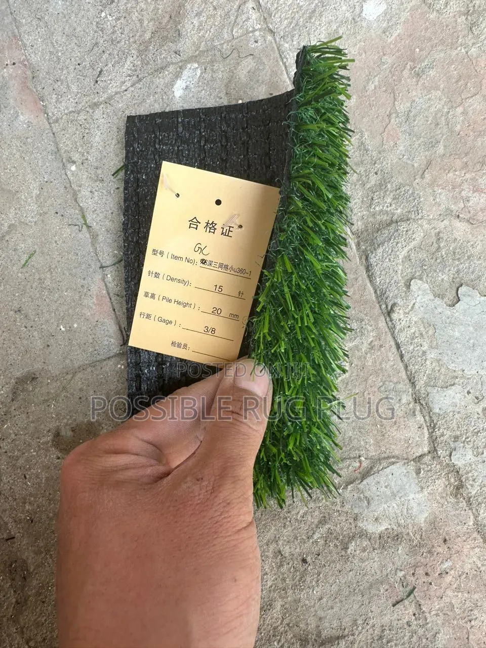 Quality Green Grass for Poolside