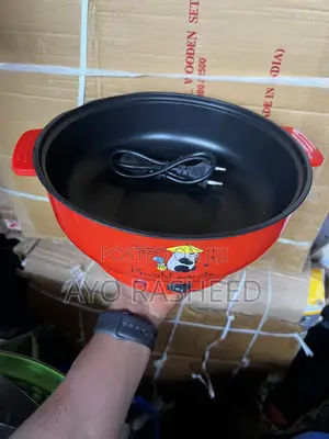Electric Boiling Multi-Functional Cooking Pot