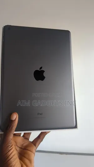 Apple iPad 10.2 (2021) 256 GB Gray