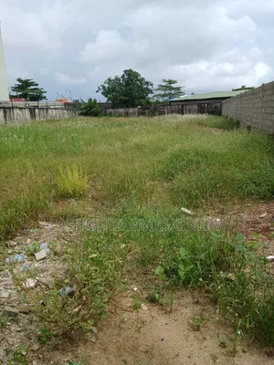 Certificate of Occupancy