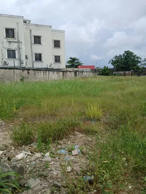 Certificate of Occupancy