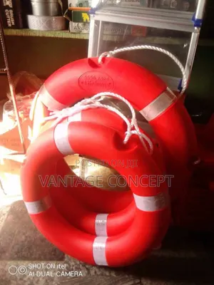 Swimming Pool Floater