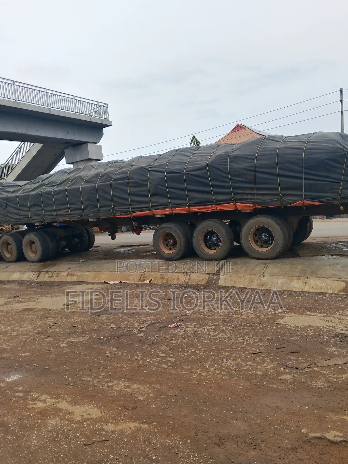 Dangote Cement