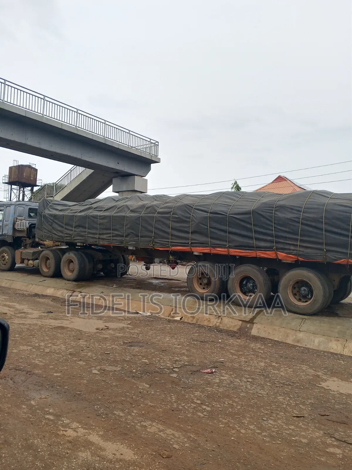 Dangote Cement