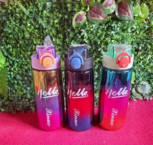 Gradient Flip-Top Reusable Water Bottle With Straw Lid