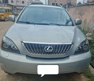 Lexus RX 2009 Gray